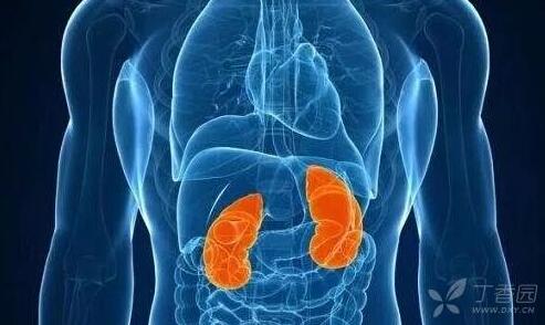 东方易元洗髓功 东方易元洗髓功