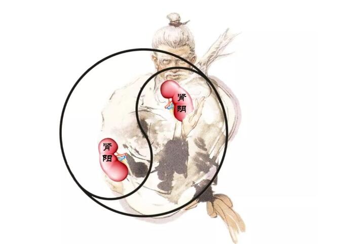 东方易元洗髓功 东方易元洗髓功