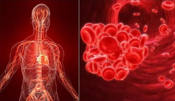 东方易元洗髓功 东方易元洗髓功