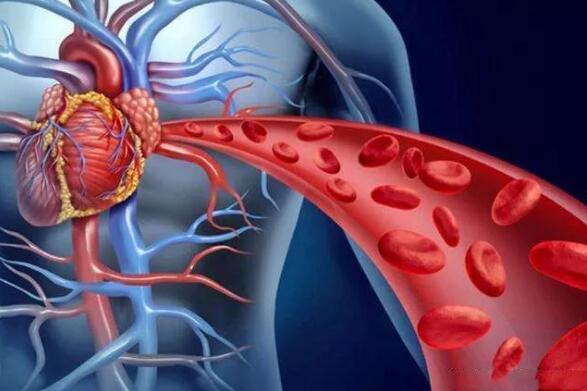 东方易元洗髓功 东方易元洗髓功