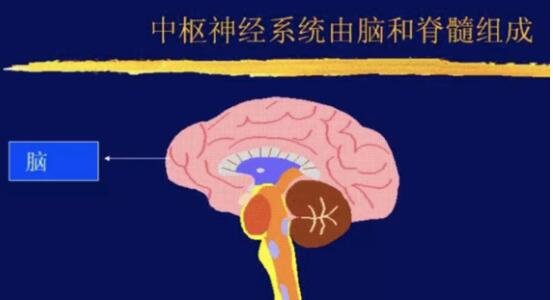 东方易元洗髓功 东方易元洗髓功