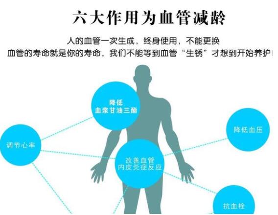 东方易元洗髓功 东方易元洗髓功
