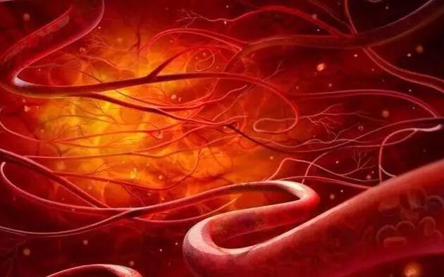 东方易元洗髓功 东方易元洗髓功